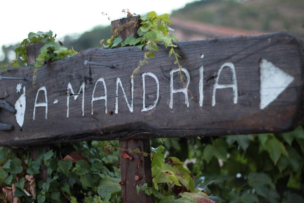 Holiday home Mandria Mountain View Apartments: Centrally Located Patio Corte (Corsica)