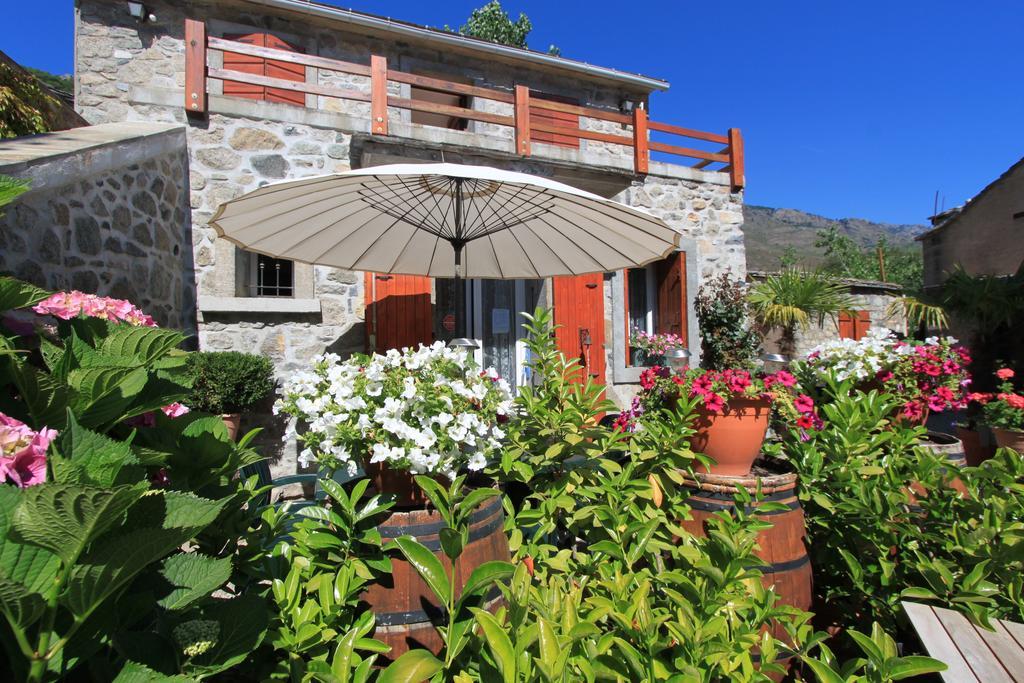 Mandria Mountain View Apartments: Centrally Located Patio