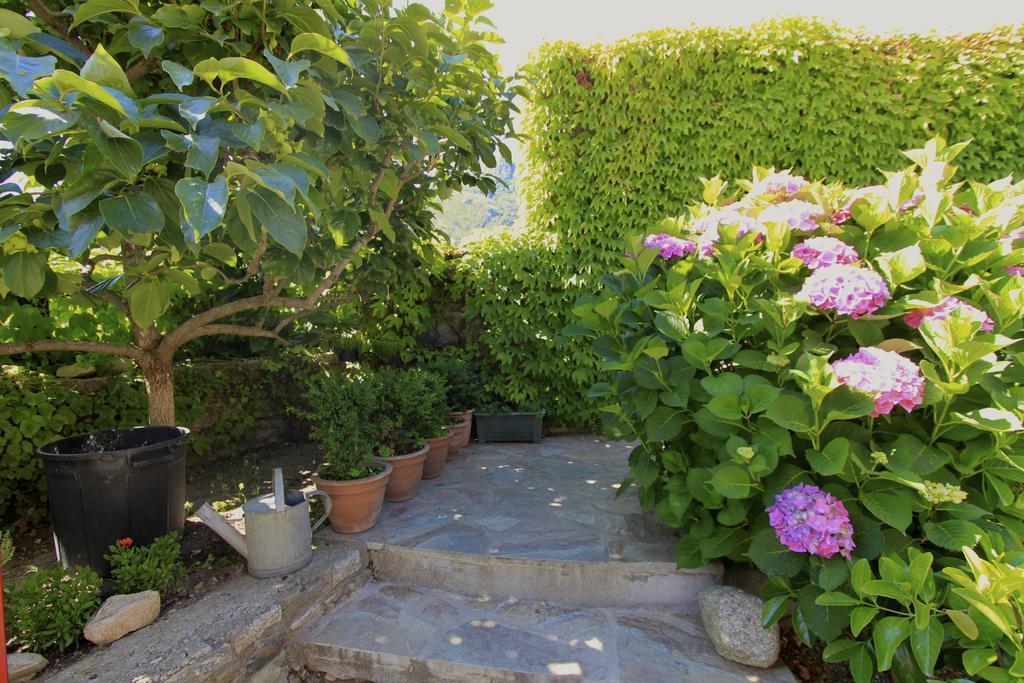 Holiday home Mandria Mountain View Apartments: Centrally Located Patio Corte (Corsica)