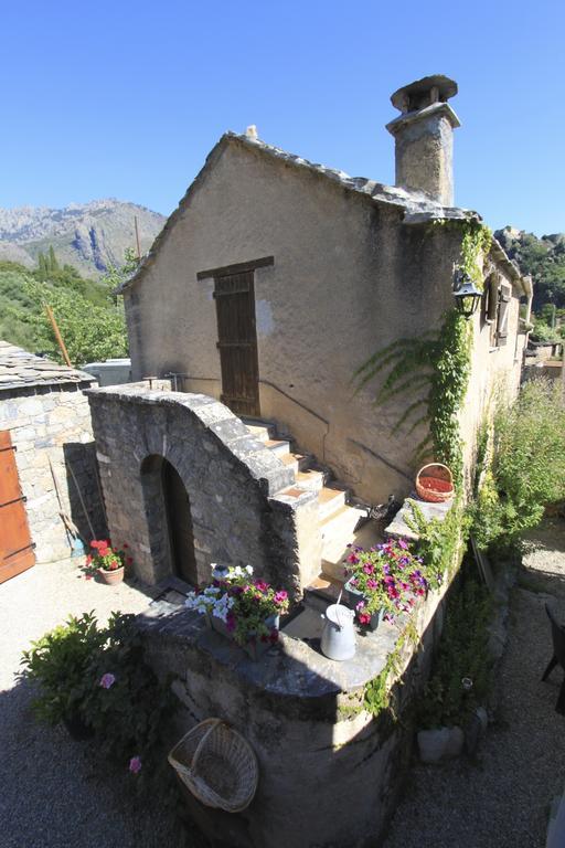 Holiday home Mandria Mountain View Apartments: Centrally Located Patio