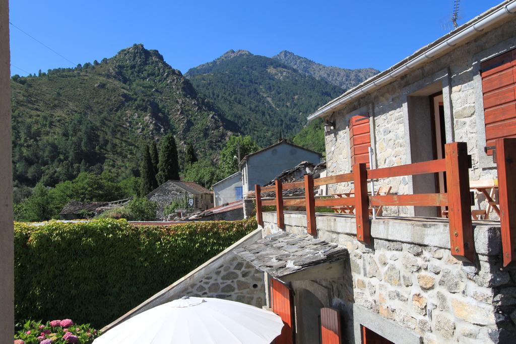 Mandria Mountain View Apartments: Centrally Located Patio