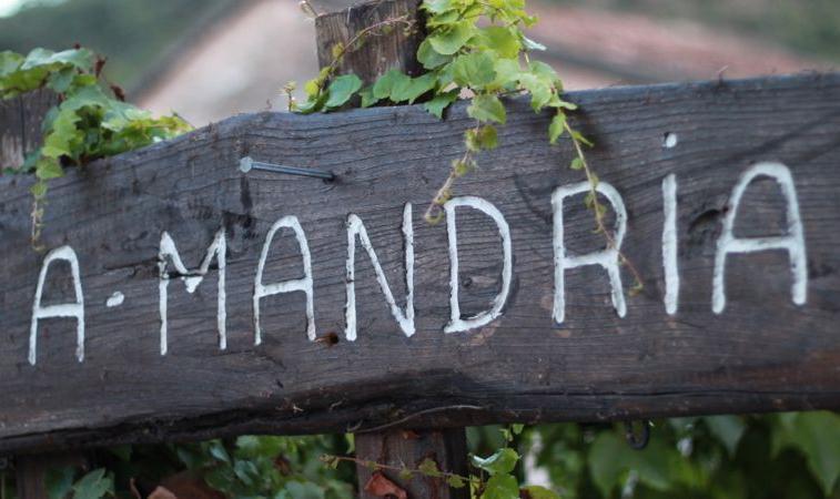 Mandria Mountain View Apartments: Centrally Located Patio